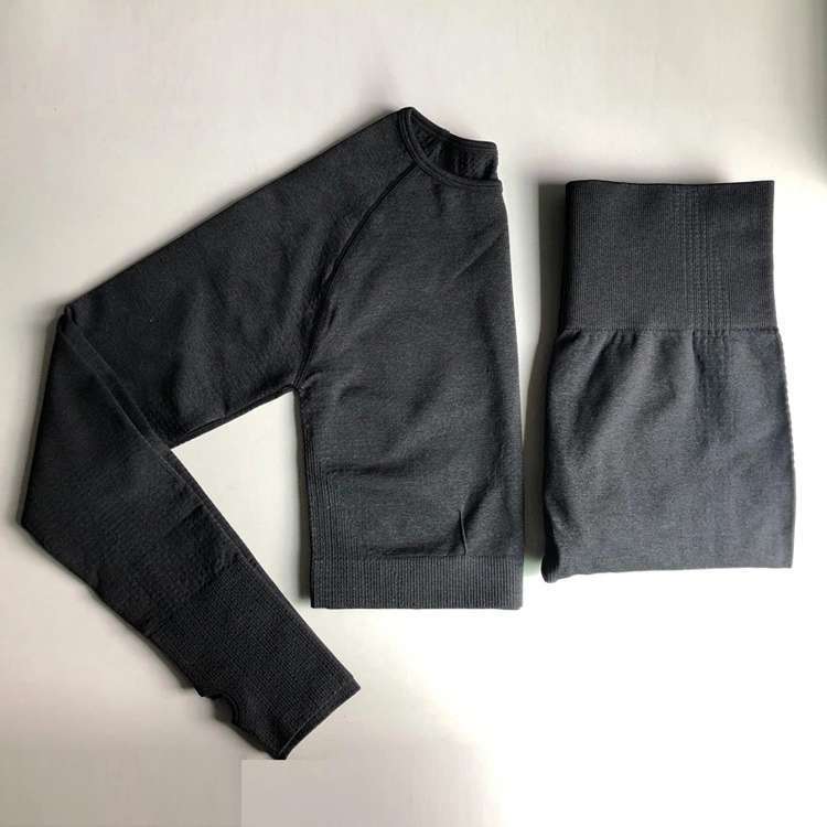 Seamless Yoga Wear Sports Suit