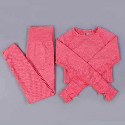 Seamless Yoga Wear Sports Suit